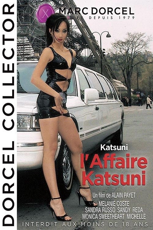Jaquette L'Affaire Katsumi 