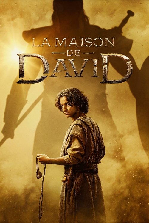 Jaquette La Maison de David