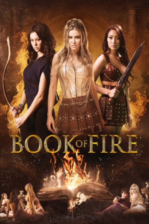 Jaquette The Book of Fire