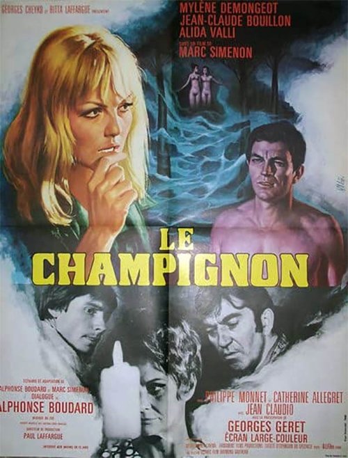 Jaquette Le champignon