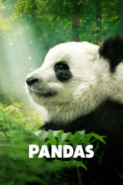 Jaquette Pandas