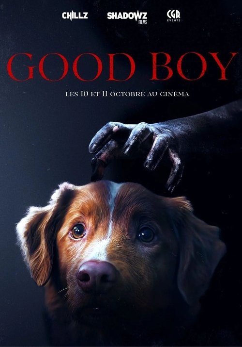 Jaquette Good Boy