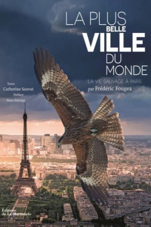 Jaquette La Plus Belle Ville du monde