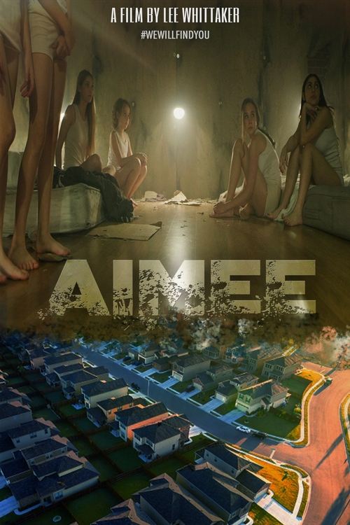 Jaquette The Vigilante