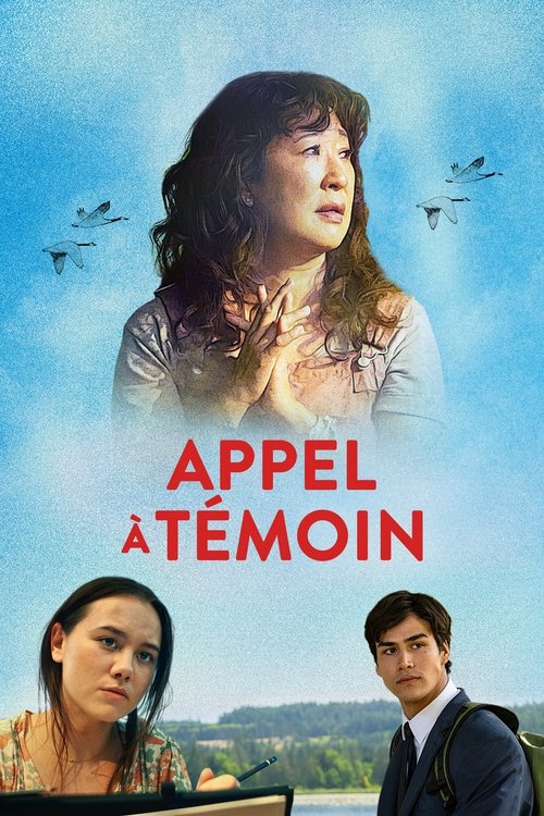 Jaquette Can I Get a Witness?