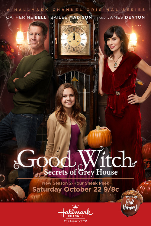 Jaquette Good Witch: Secrets of Grey House