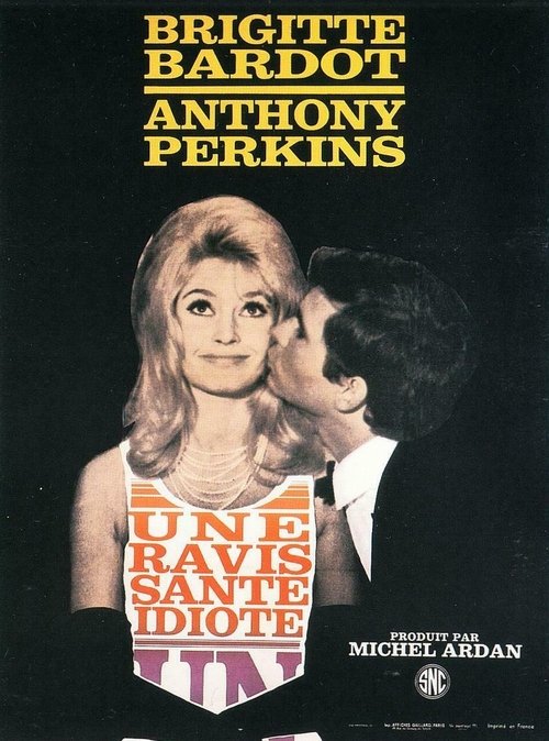 Jaquette Une ravissante idiote