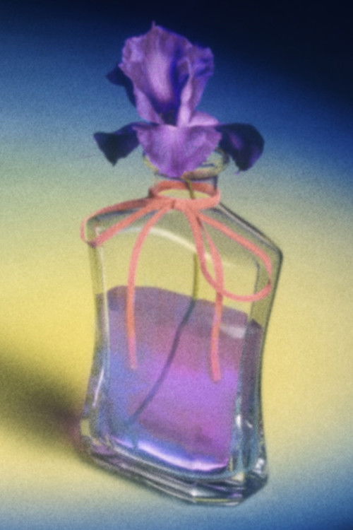 Jaquette Fior Di Latte