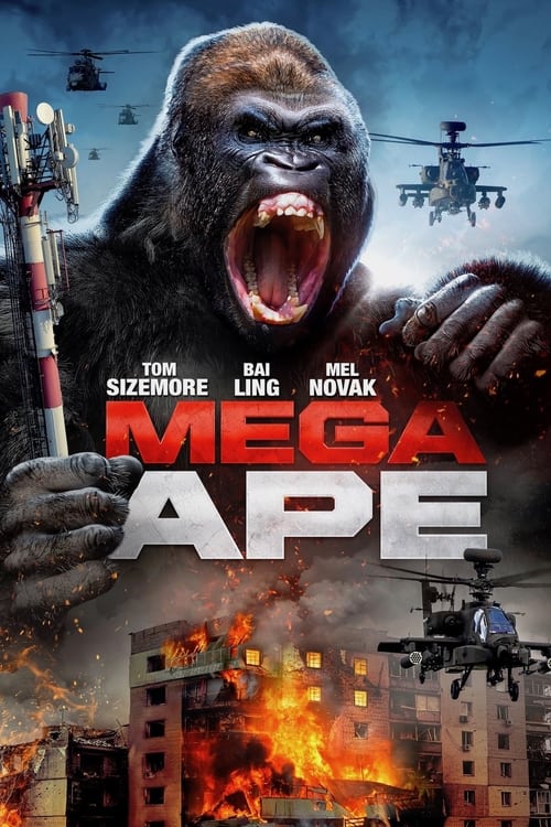 Jaquette Mega Ape