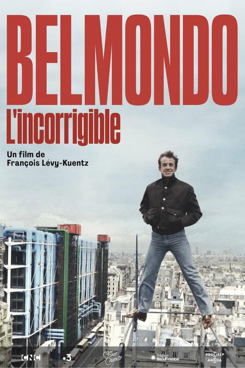 Jaquette Belmondo l'incorrigible