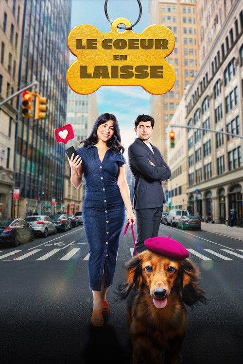 Jaquette Paws in the City