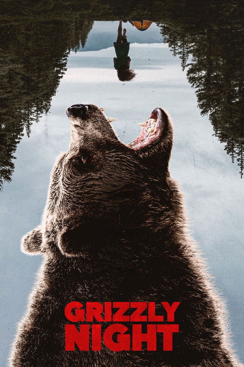 Jaquette Grizzly Night