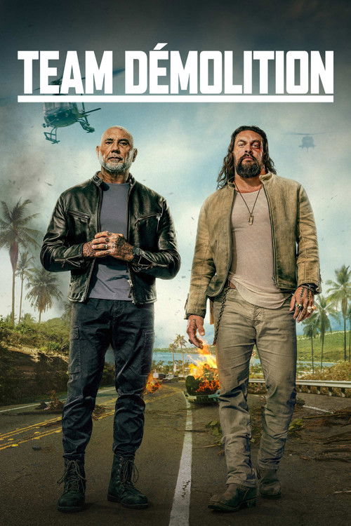 Jaquette Team Démolition