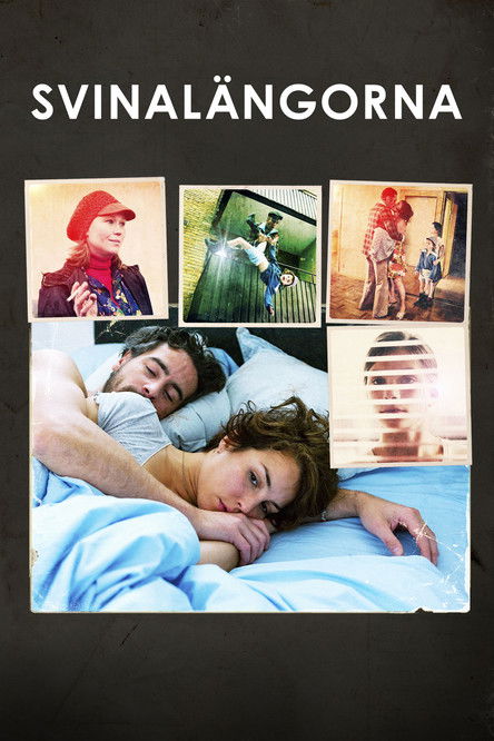 Jaquette Svinalangorna