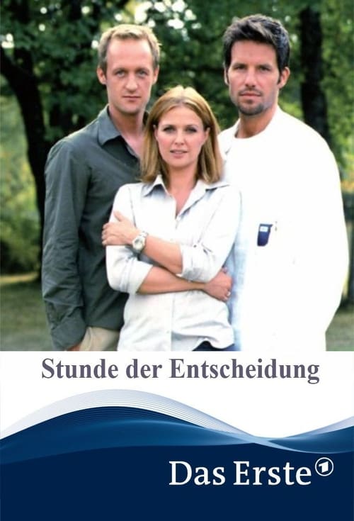 Jaquette Stunde der Entscheidung