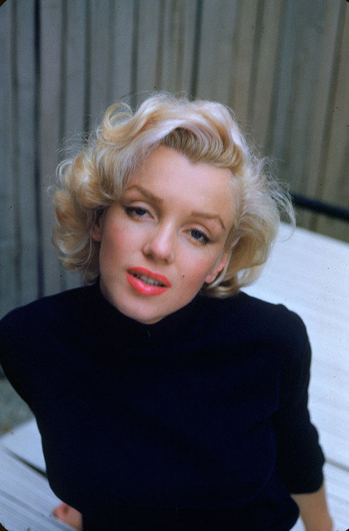 Jaquette Hollywood Hall Of Fame - Marilyn Monroe