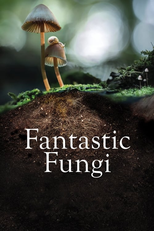 Jaquette Fantastic Fungi