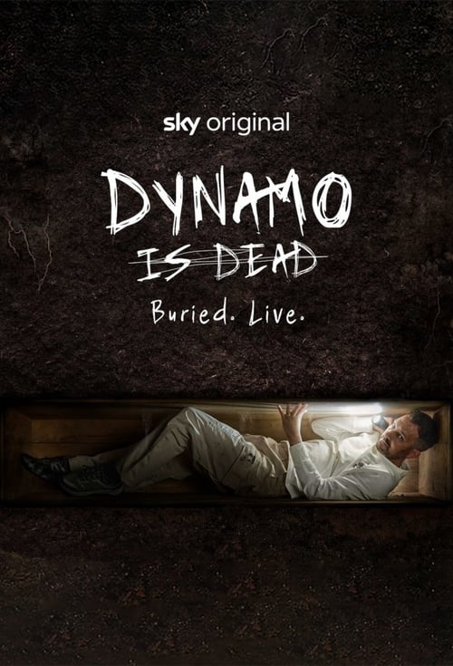 Jaquette Dynamo is Dead