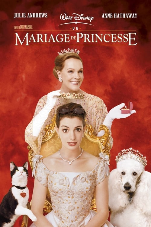 Jaquette Un mariage de princesse