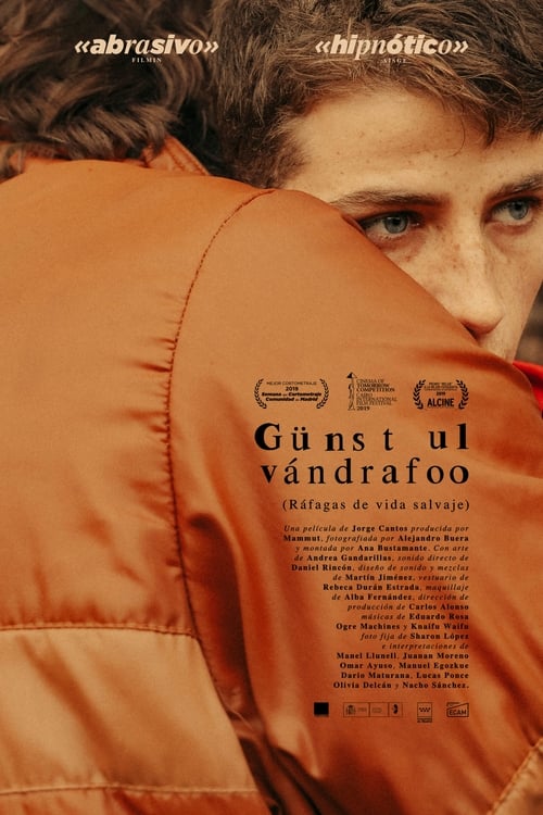 Jaquette Günst ul vándrafoo (Ráfagas de vida salvaje)