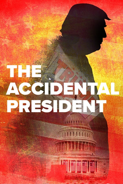 Jaquette The Accidental President