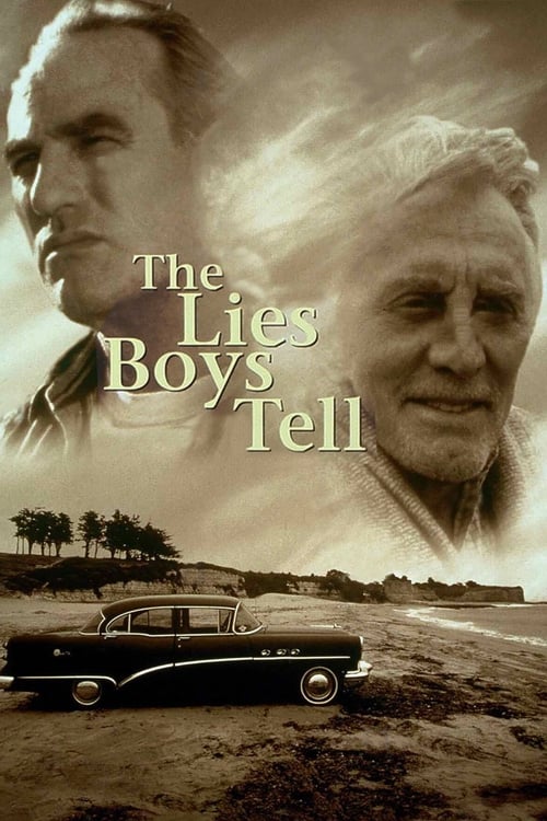 Jaquette The Lies Boys Tell