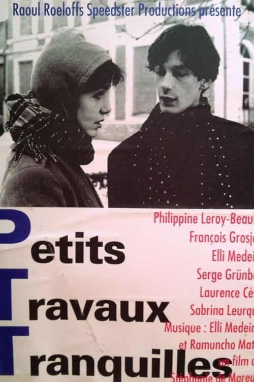 Jaquette Petits travaux tranquilles