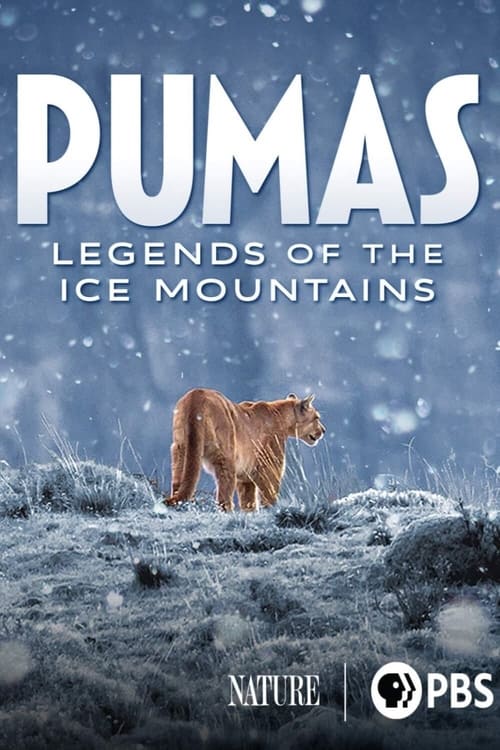 Jaquette Pumas: Legends of the Ice Mountains