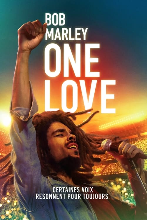 Jaquette Bob Marley : One Love
