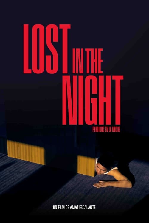 Jaquette Lost In The Night