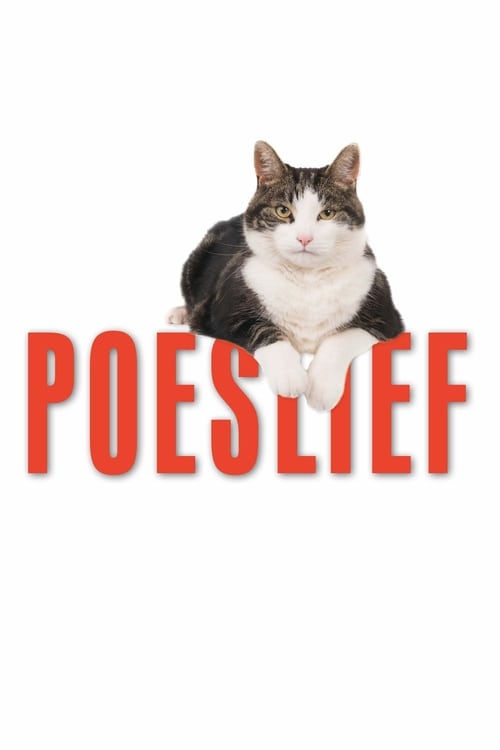 Jaquette Chats, c'est vraiment nous