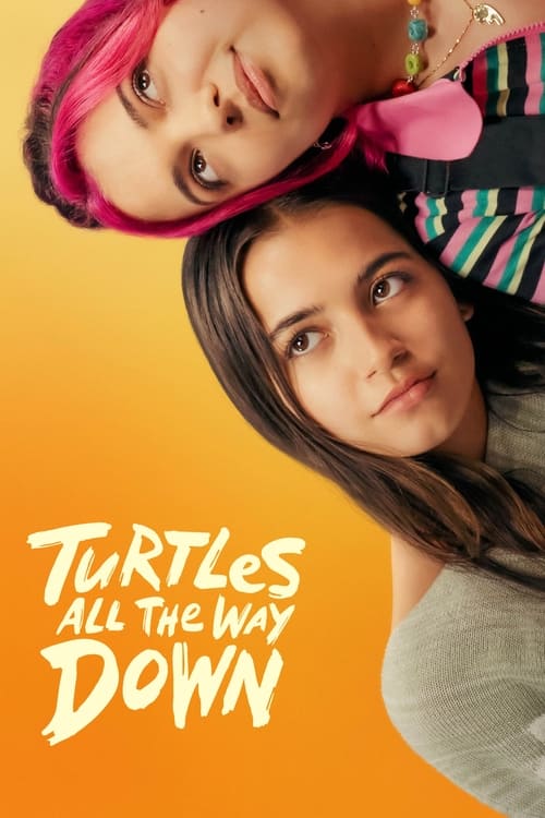 Jaquette Turtles All the Way Down