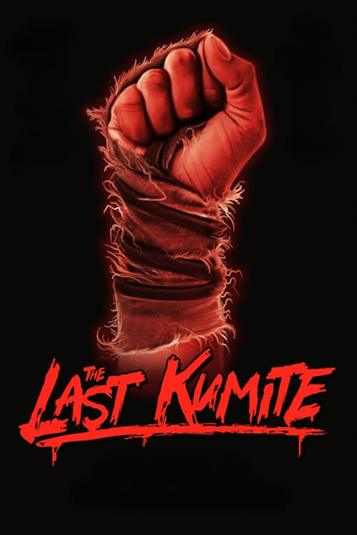 Jaquette The Last Kumite