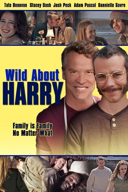 Jaquette Wild About Harry