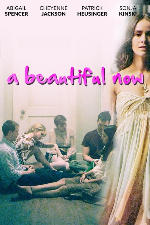 Jaquette A Beautiful Now