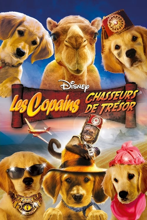 Jaquette Les copains chasseurs de trésor