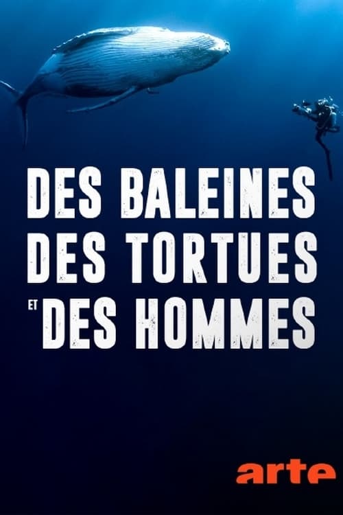 Jaquette Des baleines, des tortues et des hommes