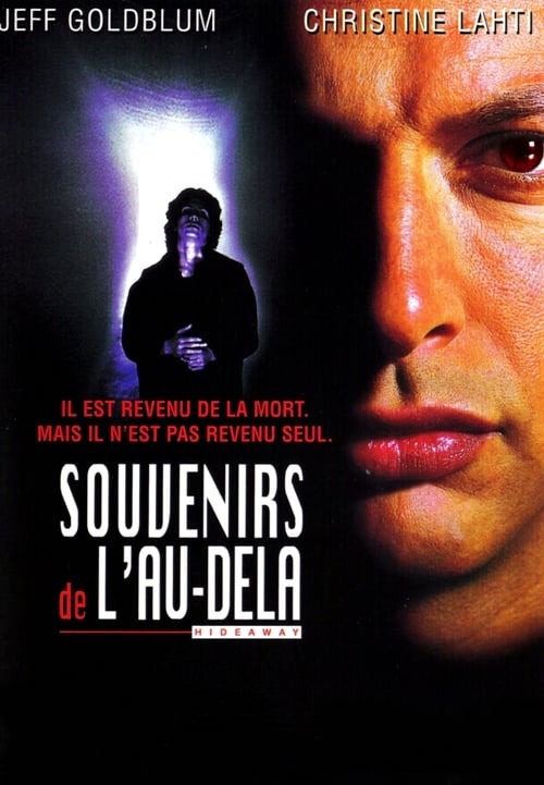 Jaquette Souvenirs de l'au-delà