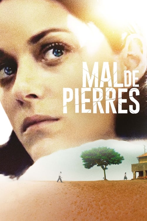 Jaquette Mal de pierres