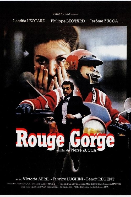 Jaquette Rouge-gorge