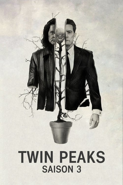 Jaquette Twin Peaks