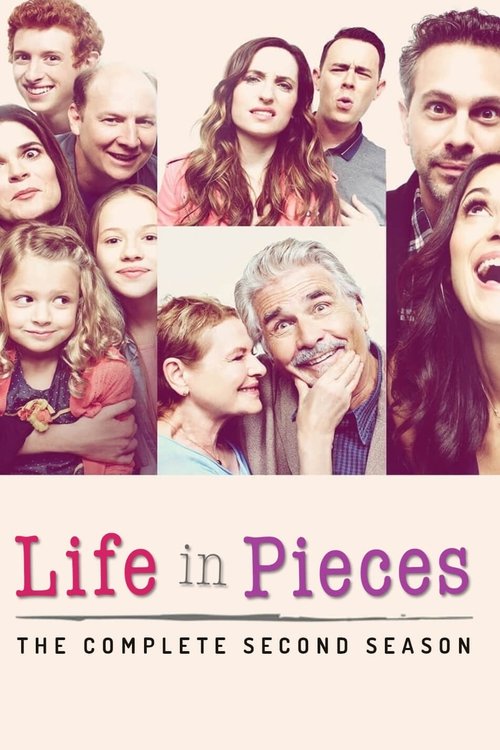 Jaquette Life in Pieces
