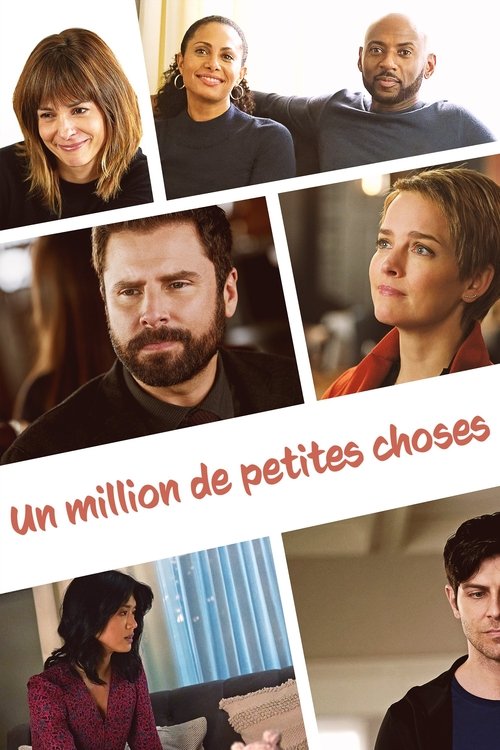Jaquette A Million Little Things