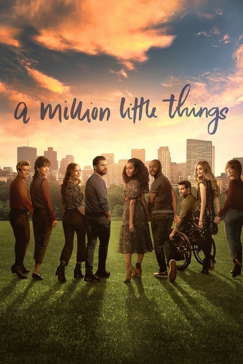 Jaquette A Million Little Things