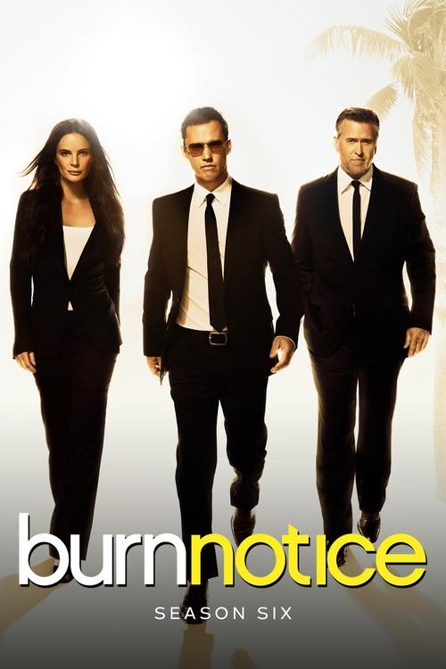 Jaquette Burn Notice