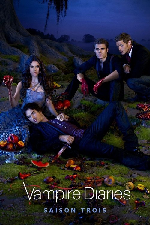 Jaquette Vampire Diaries
