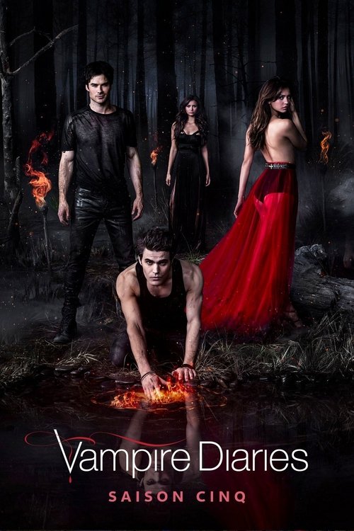Jaquette Vampire Diaries