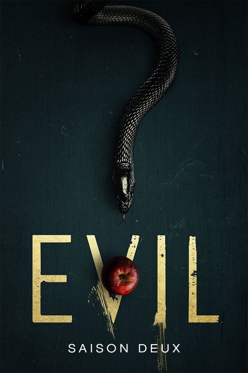 Jaquette Evil