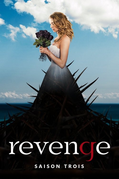 Jaquette Revenge