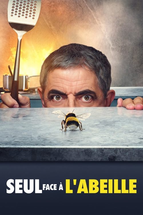 Jaquette Seul face a l'abeille